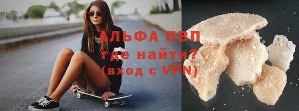 МДПВ Бородино