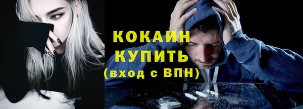 МДПВ Бородино