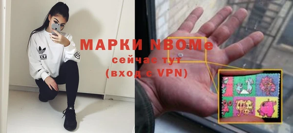 МДПВ Бородино