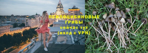 ПСИЛОЦИБИНОВЫЕ ГРИБЫ Бугульма