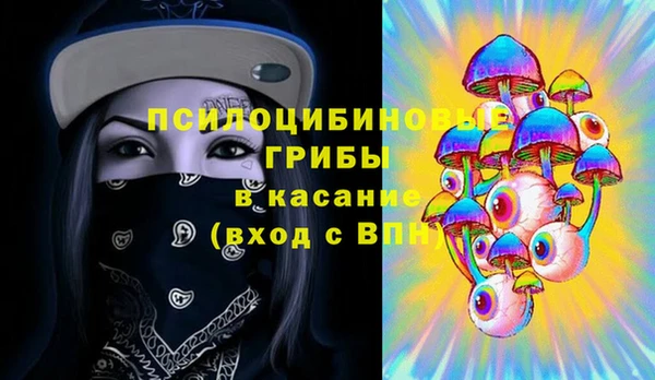 МДПВ Бородино