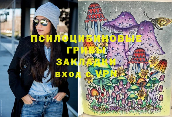 a pvp Богданович