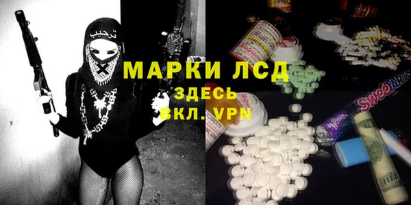 МДПВ Бородино