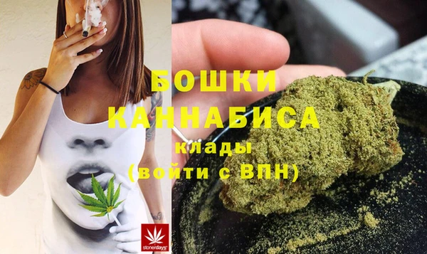МДПВ Бородино
